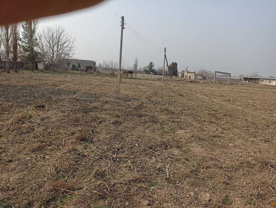 400 СОТОК в стороне Эркин