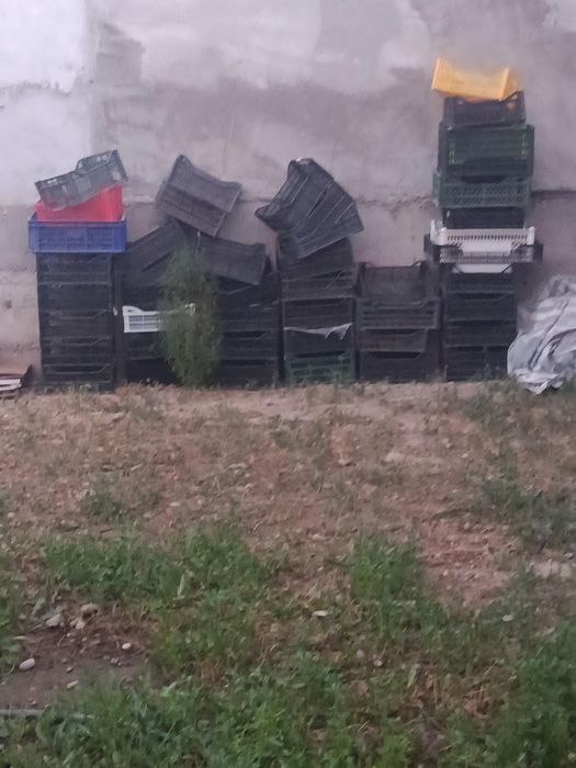 Продаю пластиковый ящики