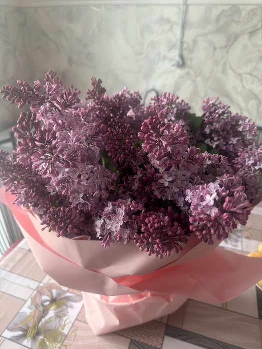 Сирень сегодняшнии