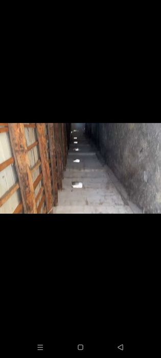 СРОЧНО ФЕРМА сотилади Рохат постидан 25км