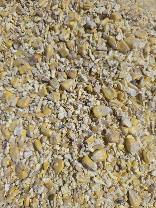 Кукуруза сухая ул..Московская 12 Жем Корма на Мичурина