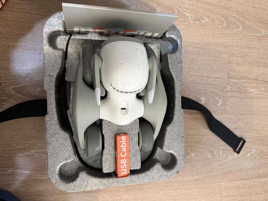 Robot loona pet