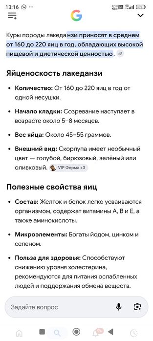 Продам цыплят эксклюзив