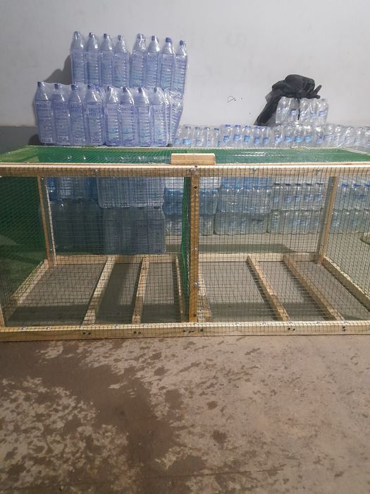 Quyonlar uchun qafas ishlatilinmagan