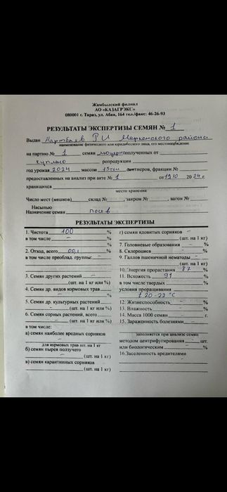 Жоңышқа тұқым. Продам семена люцерна