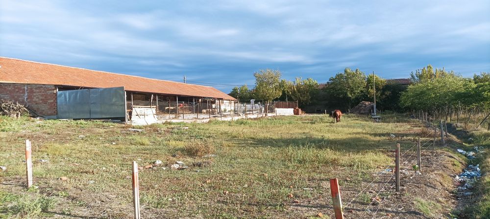 Продава се Промишлена сграда в с. Кирилово, Област Ямбол - 3592 кв.м за 17 €/кв.м - Снимка #8