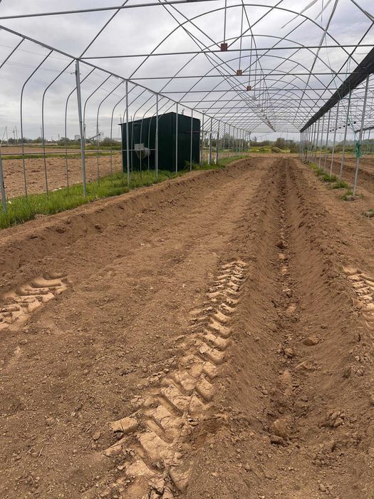 Чиноз туманида 1 гектар теплица сотилмоқда