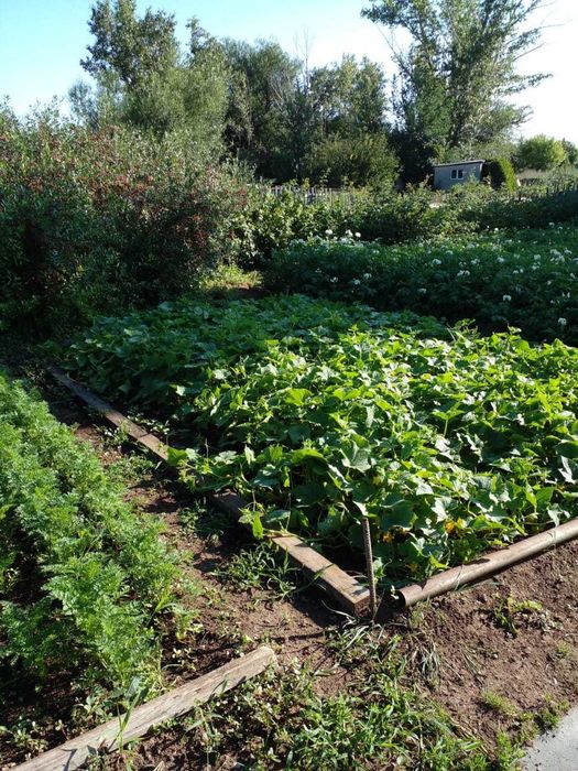 Приватизированная дача на СПП