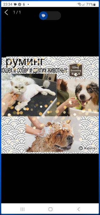 Стрижка,  груминг животных