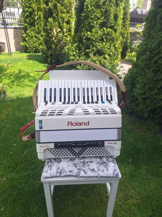 Acordeon electronic