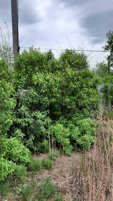 Участок 14 соток