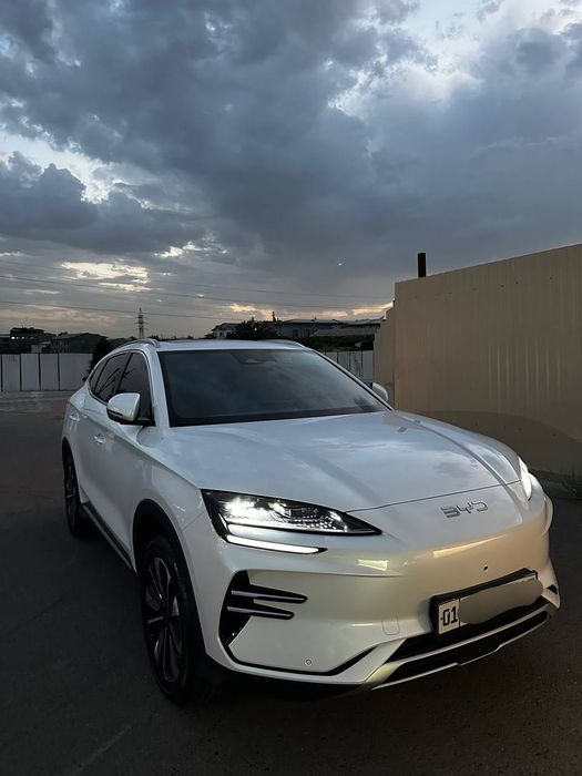 BYD Chempion Restaling