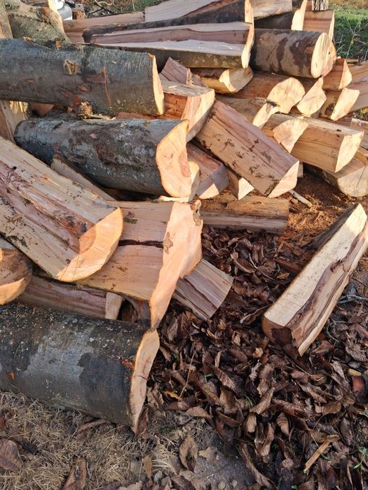 Lemne foc esență tare