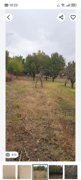Yangiyol Xalqobod 20 sotix yer, dakumentda 16, kvartiragayam alishaman