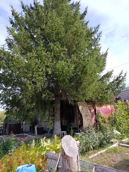 Продам дачу  по 7ке