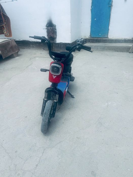 T rex bike