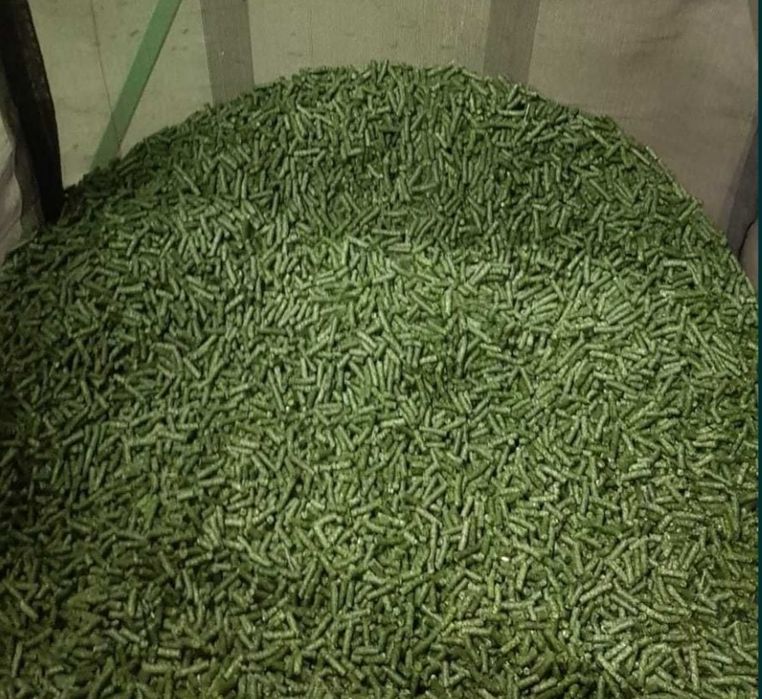 Peleti din lucerna / granule