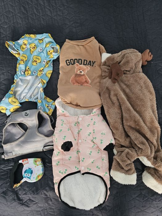 Дрехи за кученце