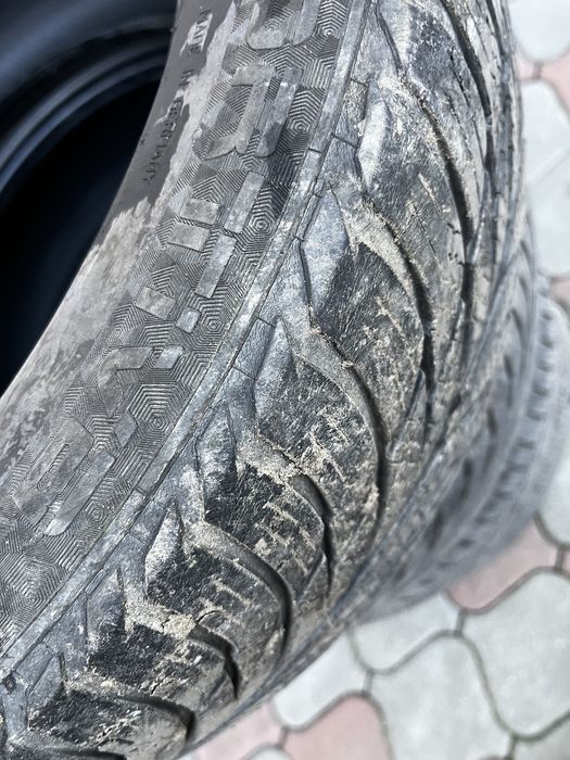 Cauciucuri all sezon