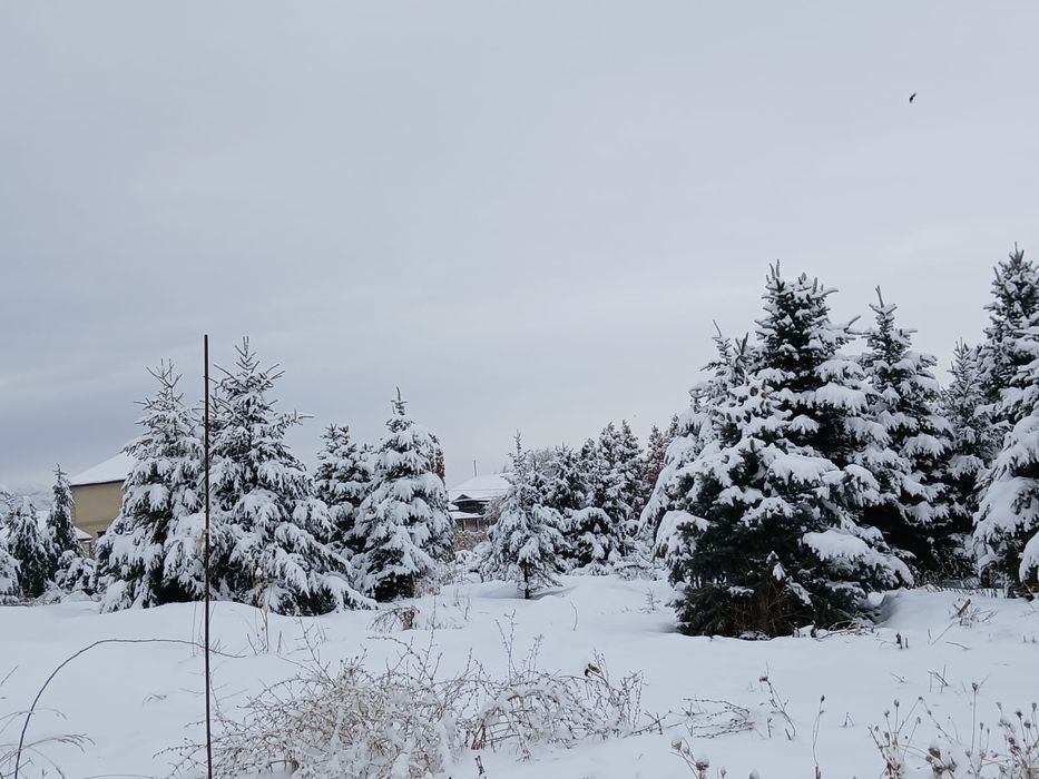 Участок в Южном.