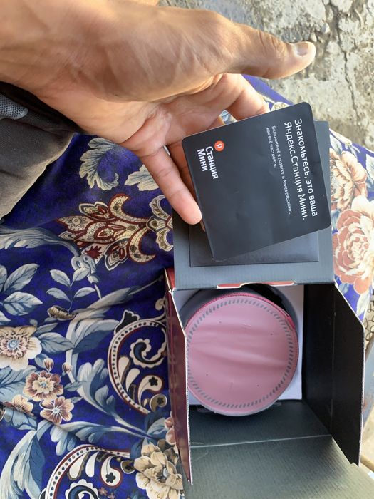 Колонка Алиса Новый Срочно