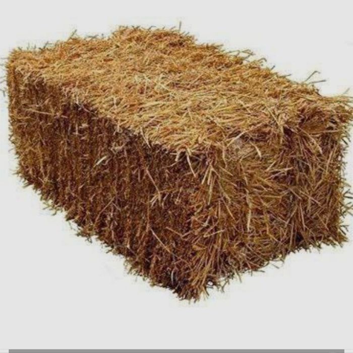 Сомон пресс 20.000