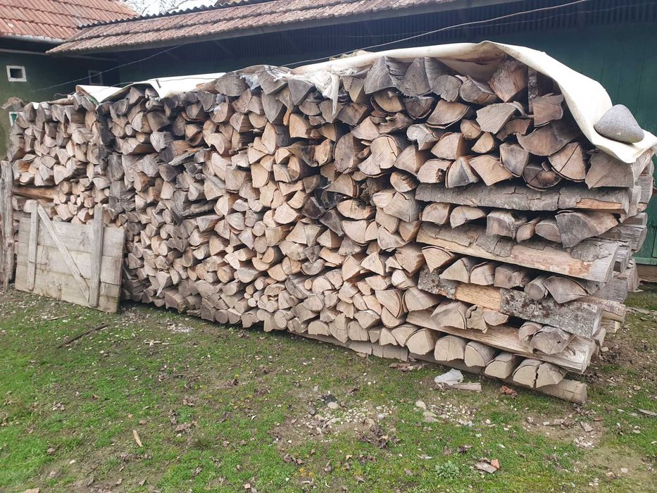 Lemne foc uscate 10 m steri Bratca