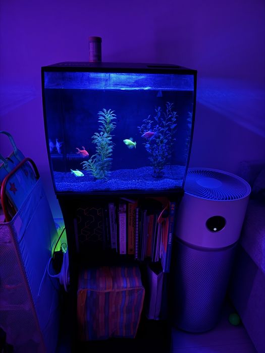 Acvariu 60L Fluval