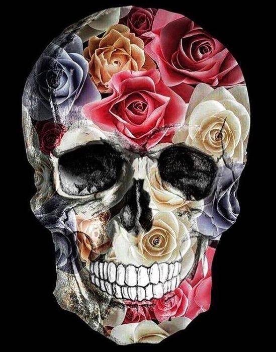 Принт на ковре