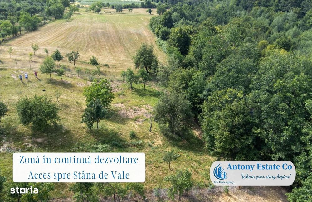 Oportunitate investitionala - Proprietate Ho.Re.Ca - Budureasa, Bihor