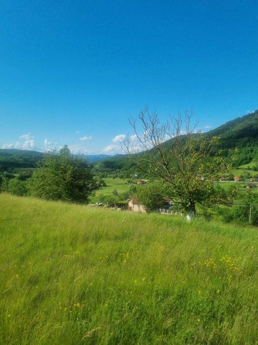 Vand teren intraviland 4820 mp Luncoiu de Jos