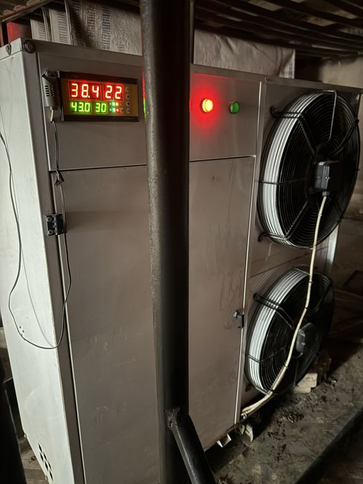 Килем жуу/химчистка ковров