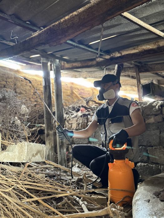 Bioclen  dezinfeksiya_premium1