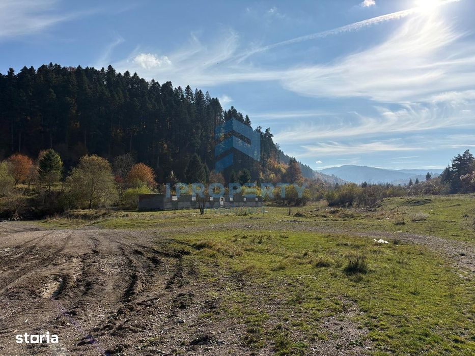 Teren |  1 ha |  Pastravarie |  Pensiune | Complex Agrement