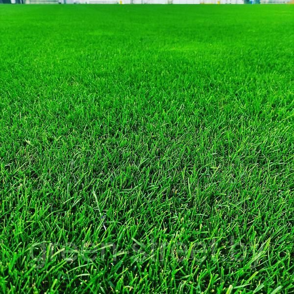 Немецкие Рулоновые Газоны в ташкенте и также ландшафтный дизайн