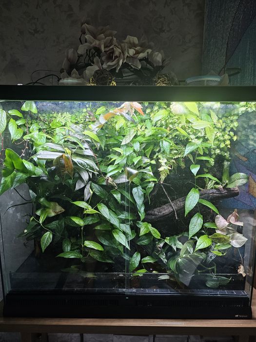 Паллюдариум, флорариум