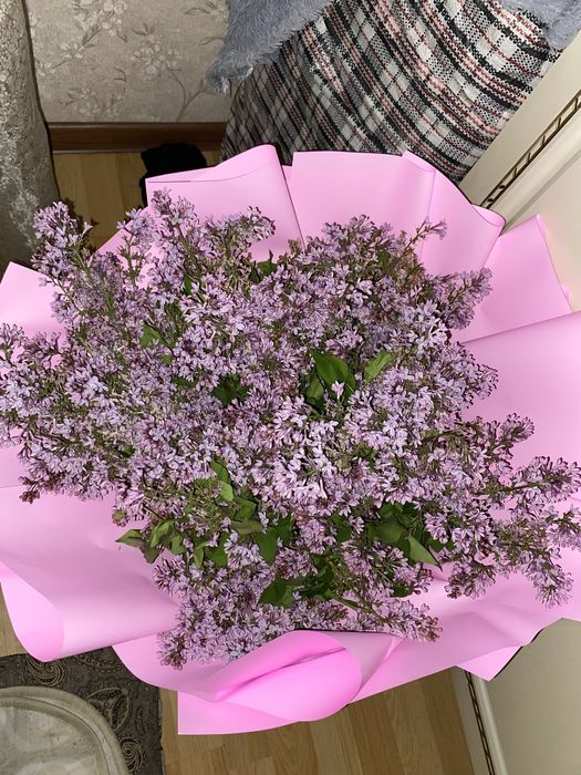 цветы Сирень !!!