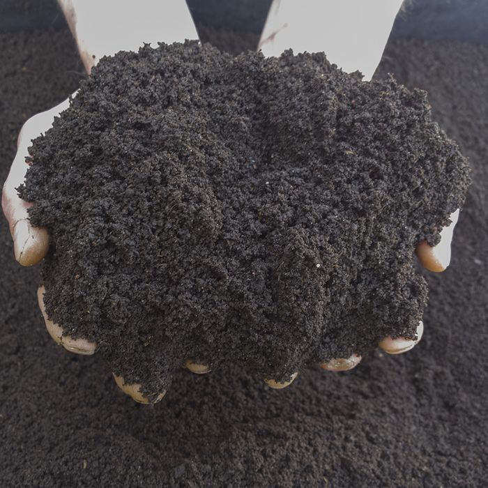 Optom biogumus sotiladi