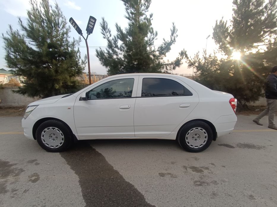 Cobalt mexanika 2-pazitsiya Tozza