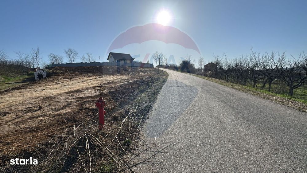 Teren intravilan de vânzare, 1106 mp –Paleu, județul Bihor