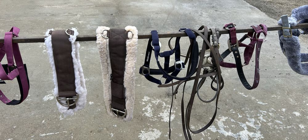 Șei/Căpestre pentru cai