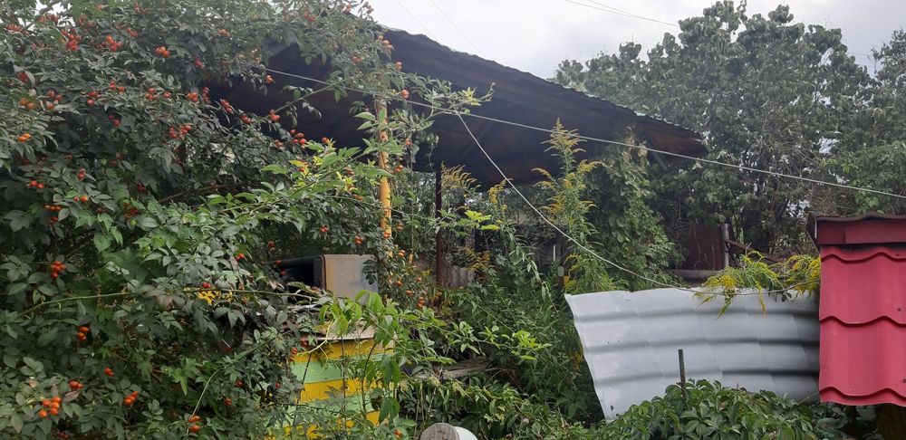 Продам дачу Байтерек