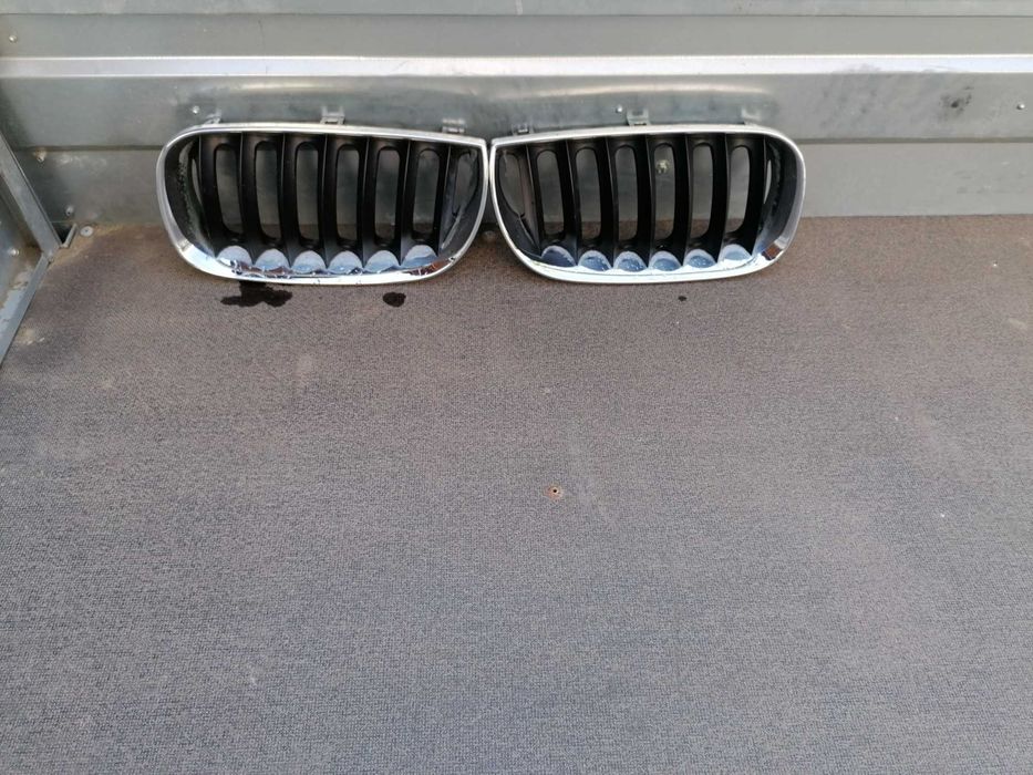 Бъбреци за BMW Х3