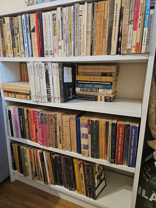 Mini biblioteca cu carti, sunt in jur de 600-700 volume,