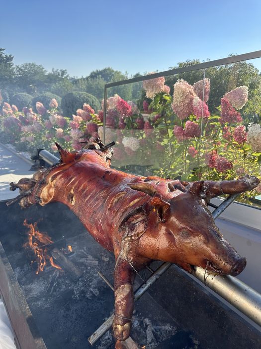 Porc facut la protap !