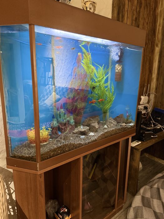 Продам аквариум