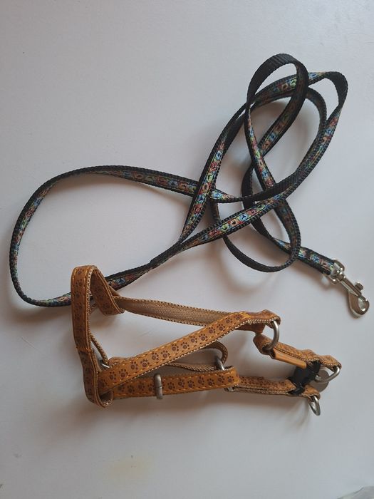 Ham pisică MacLeather