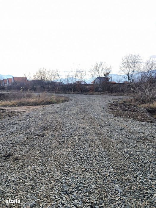 Teren extravilan de vanzare – 500 mp – Talmaciu, zona apropiata de