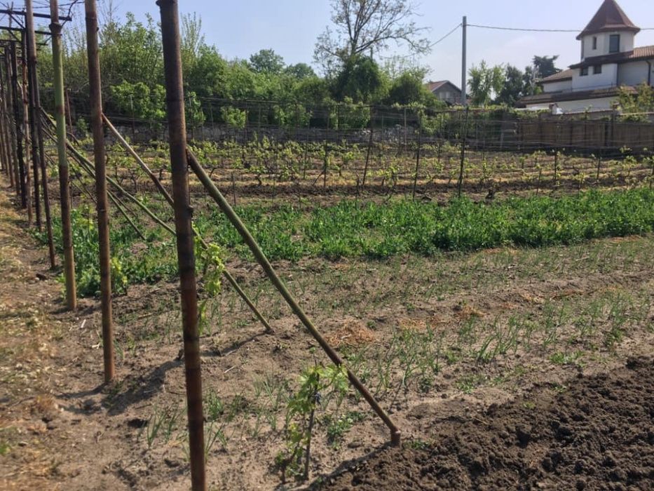 Парцел във вилна зона с панорамна гледка