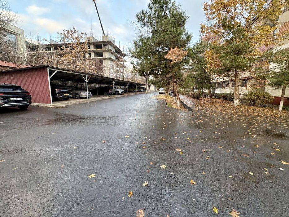 Спецплан 4/4/4 Шота Руставели,Мукимий мост